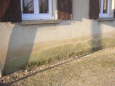 Expert bâtiment analysant une infiltration d’eau sur un mur intérieur
